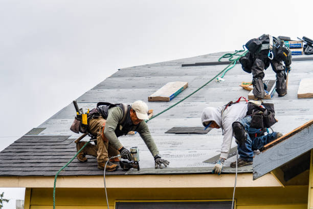 Professional Metal Roofing technician working in Emington, IL